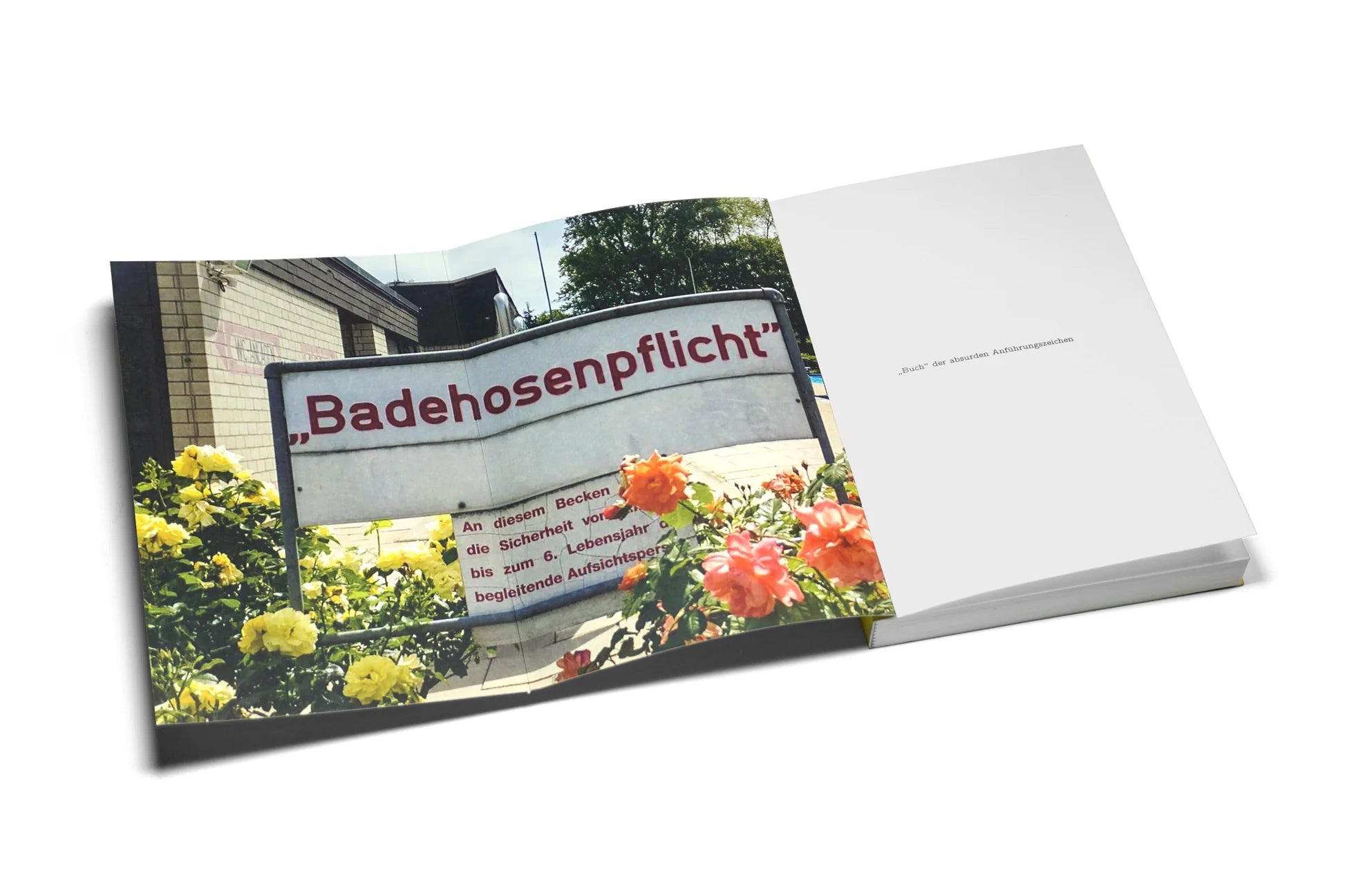 Buch | Das Buch der absurden Anführungszeichen