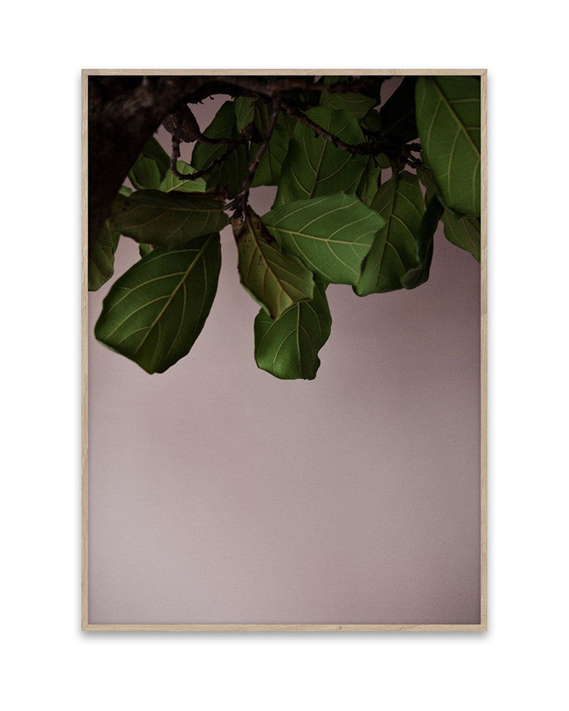 Print Poster | Green Leaves 50x70