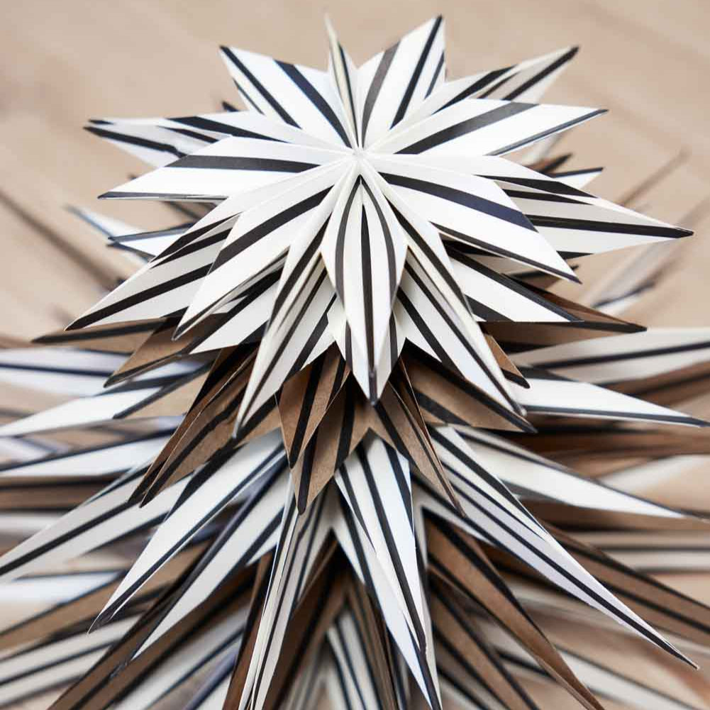 Toppu Weihnachtsstern | Medium
