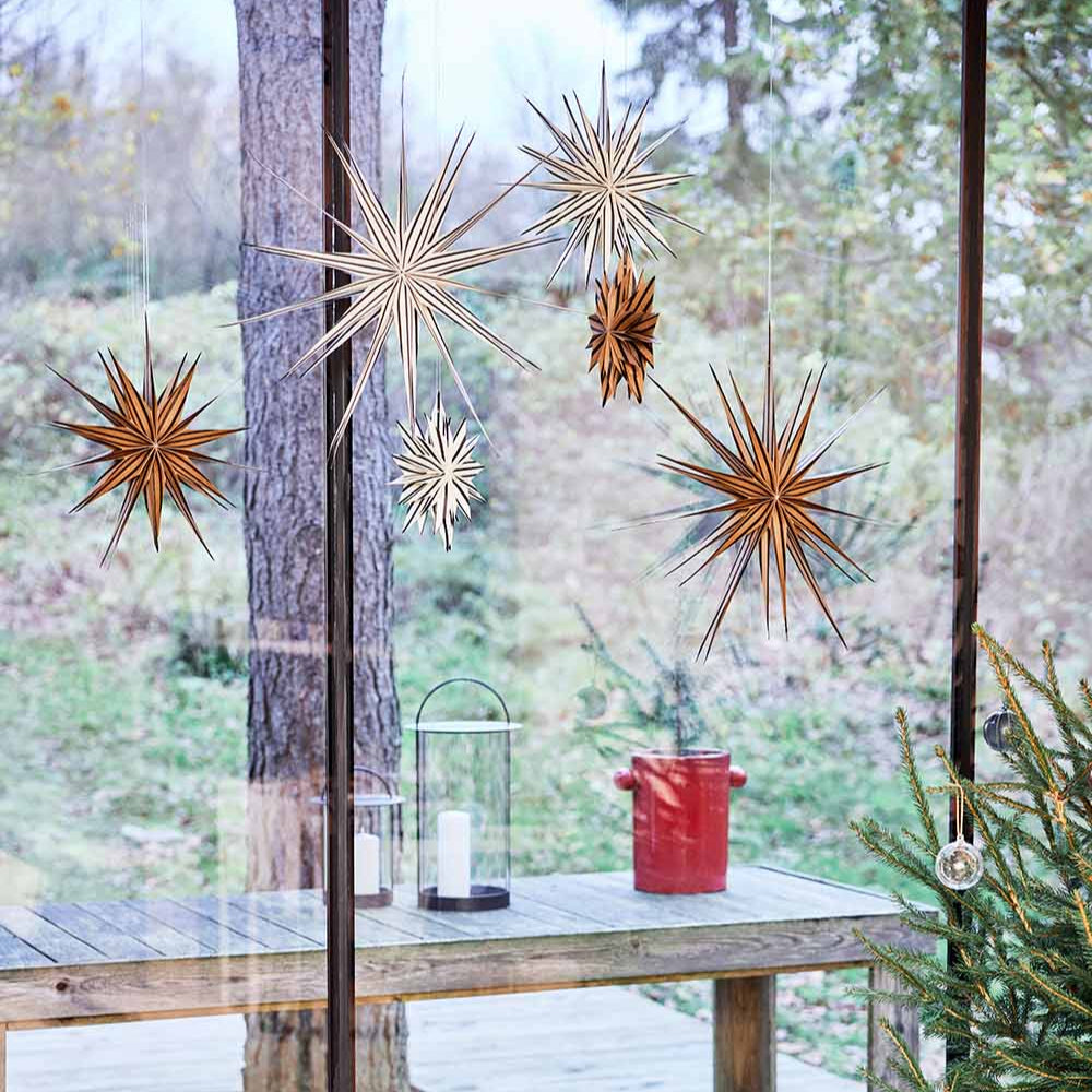 Toppu Weihnachtsstern | Medium