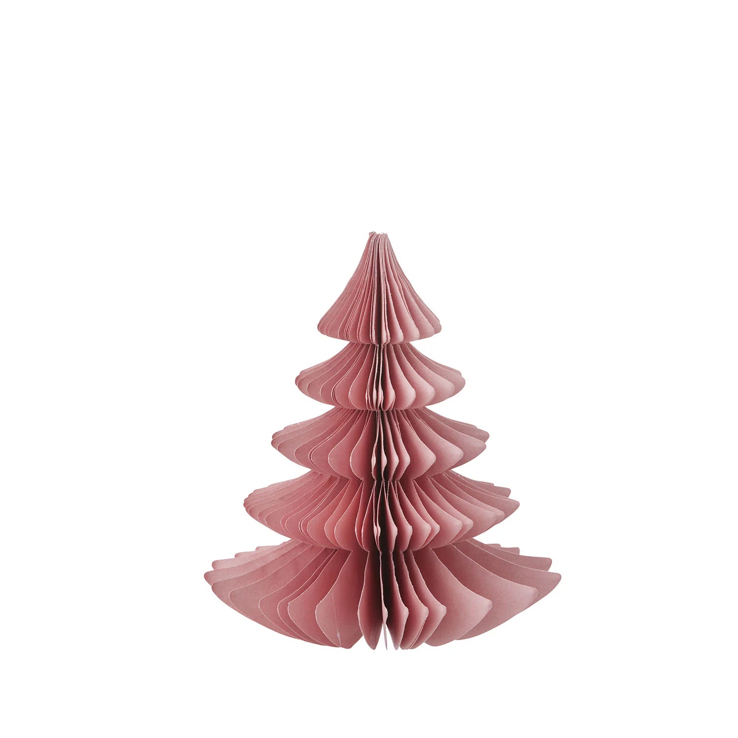 Wabentanne Evergreen | 16 cm