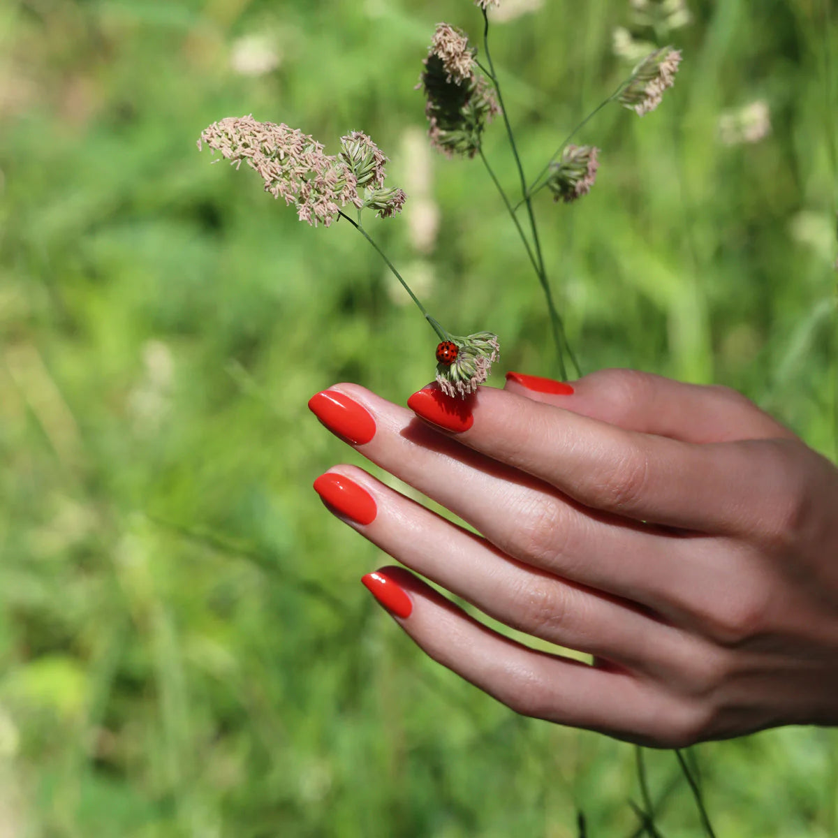Nagellack Green | red coral