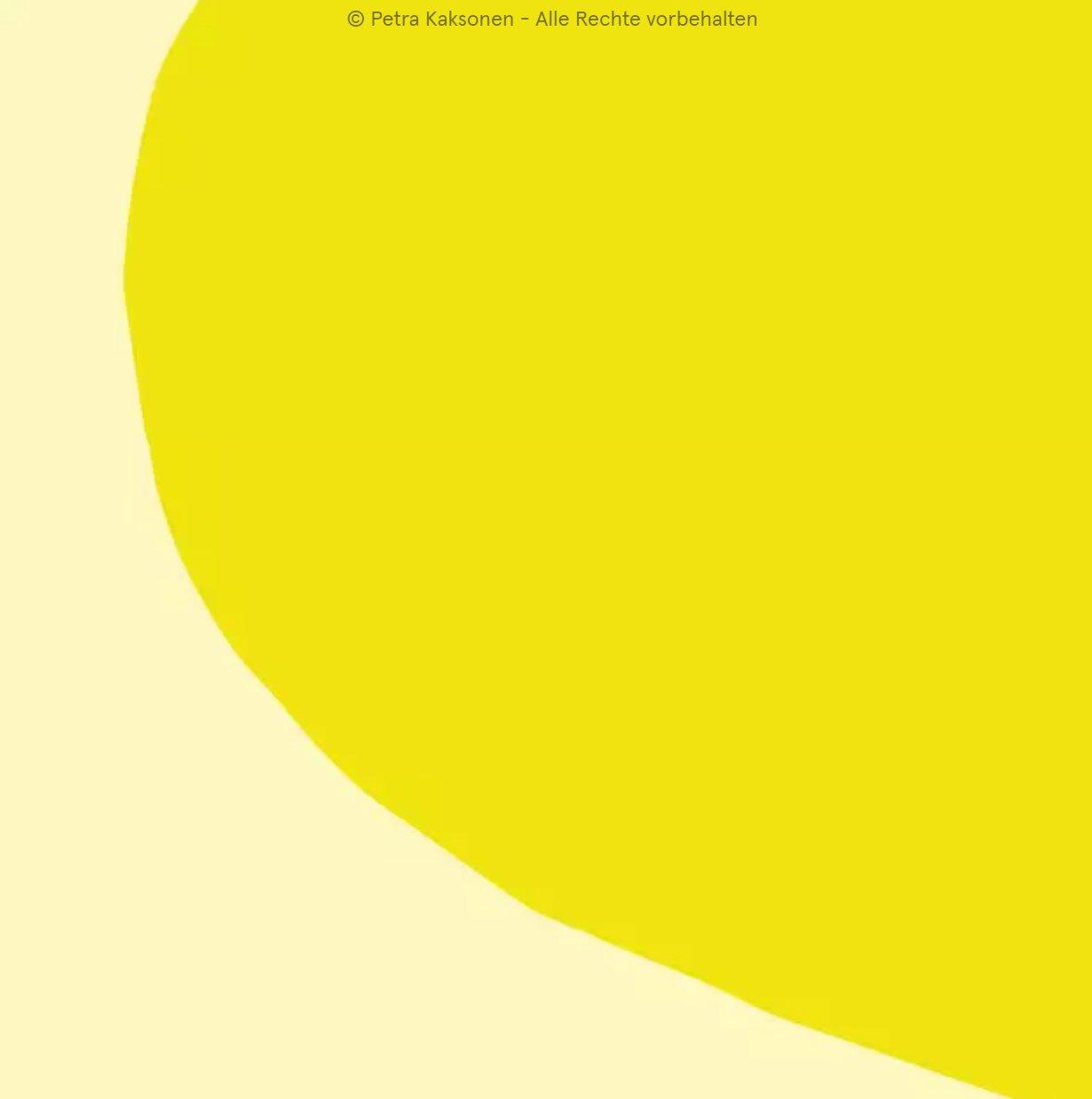 Kissenbezug | Sunshine