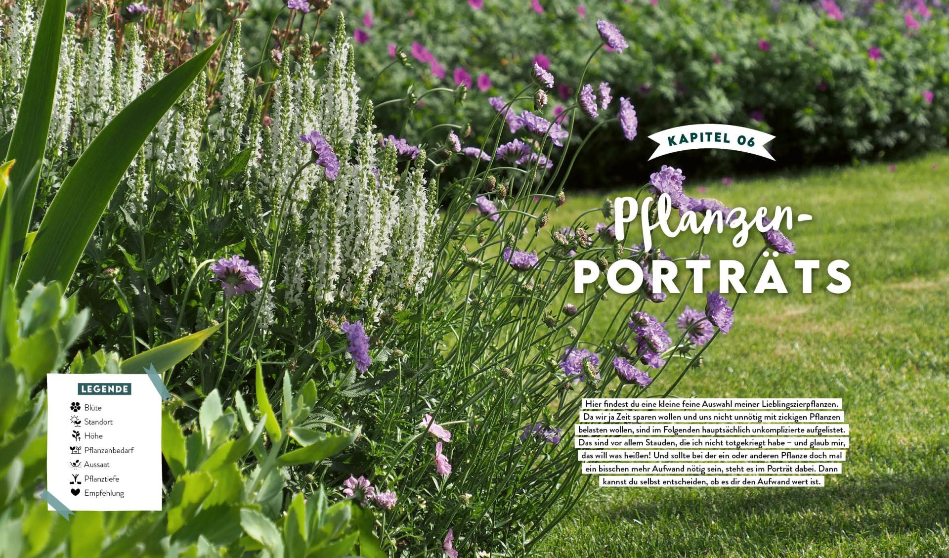 Buch | Keine Zeit zu gärtnern – Blumenparadies mit wenig Aufwand