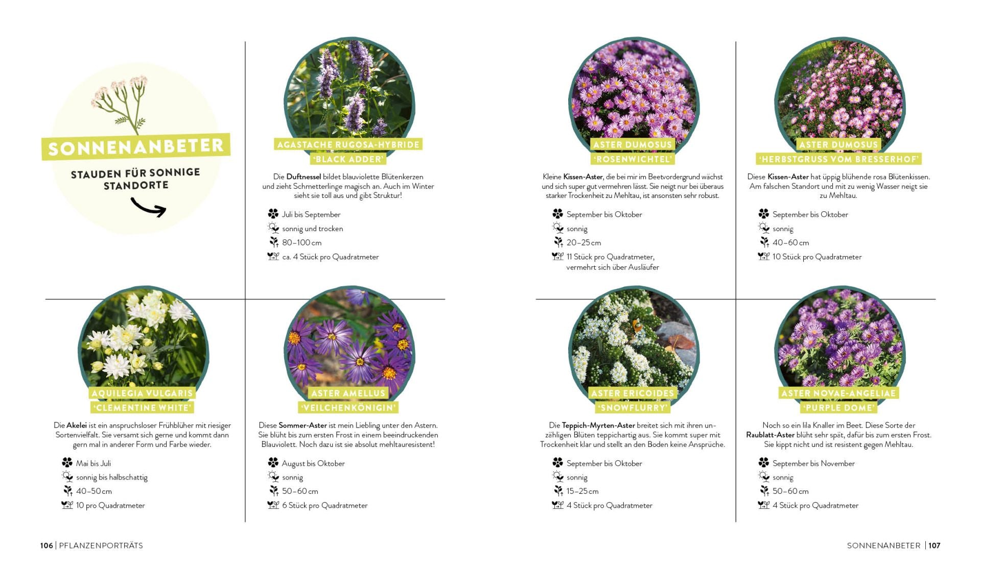 Buch | Keine Zeit zu gärtnern – Blumenparadies mit wenig Aufwand