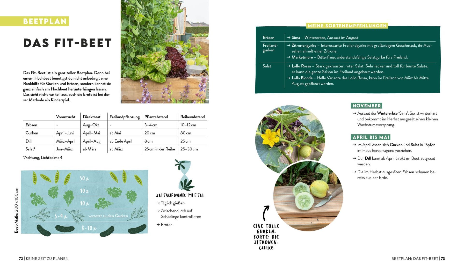 Buch | Keine Zeit zu gärtnern – Easy Ernteglück im Hochbeet