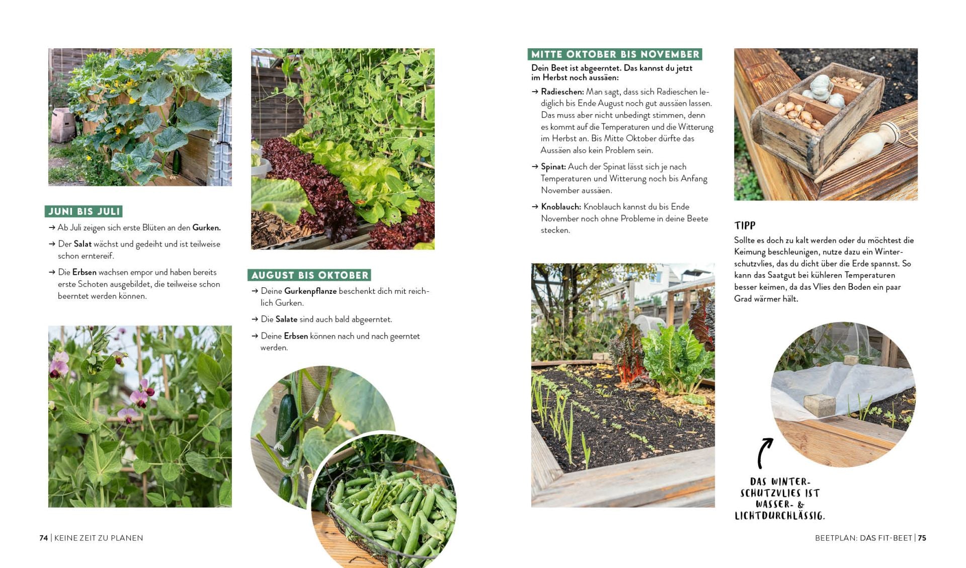 Buch | Keine Zeit zu gärtnern – Easy Ernteglück im Hochbeet