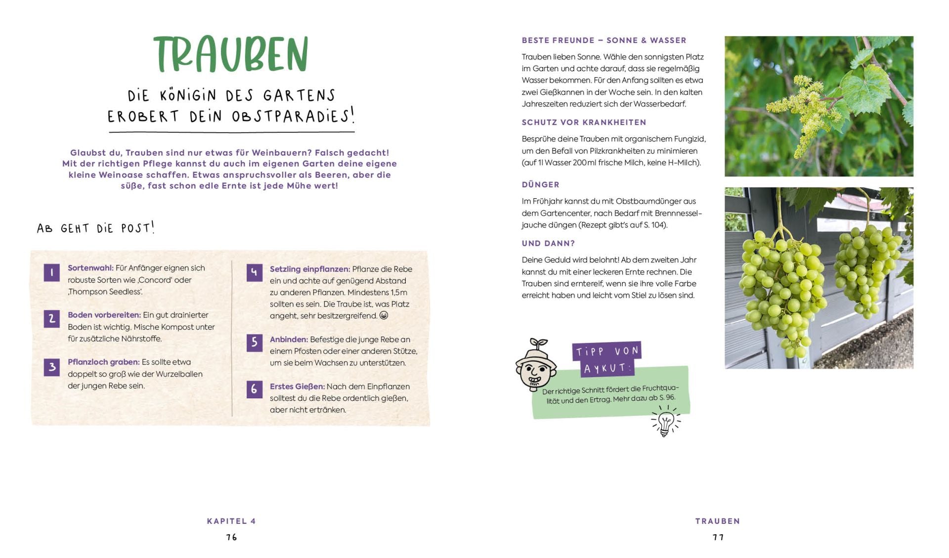 Buch | In Null Komma Grün – Einfach gärtnern