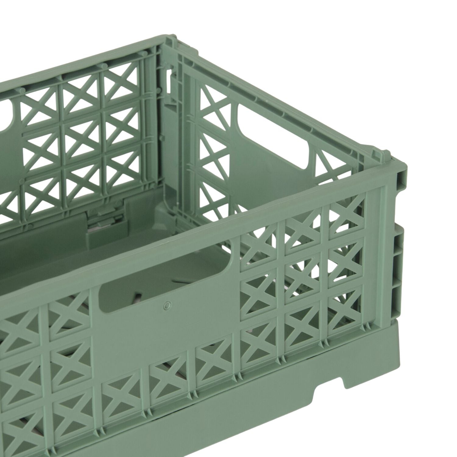 Klappbox Superior Midi | Almond Green