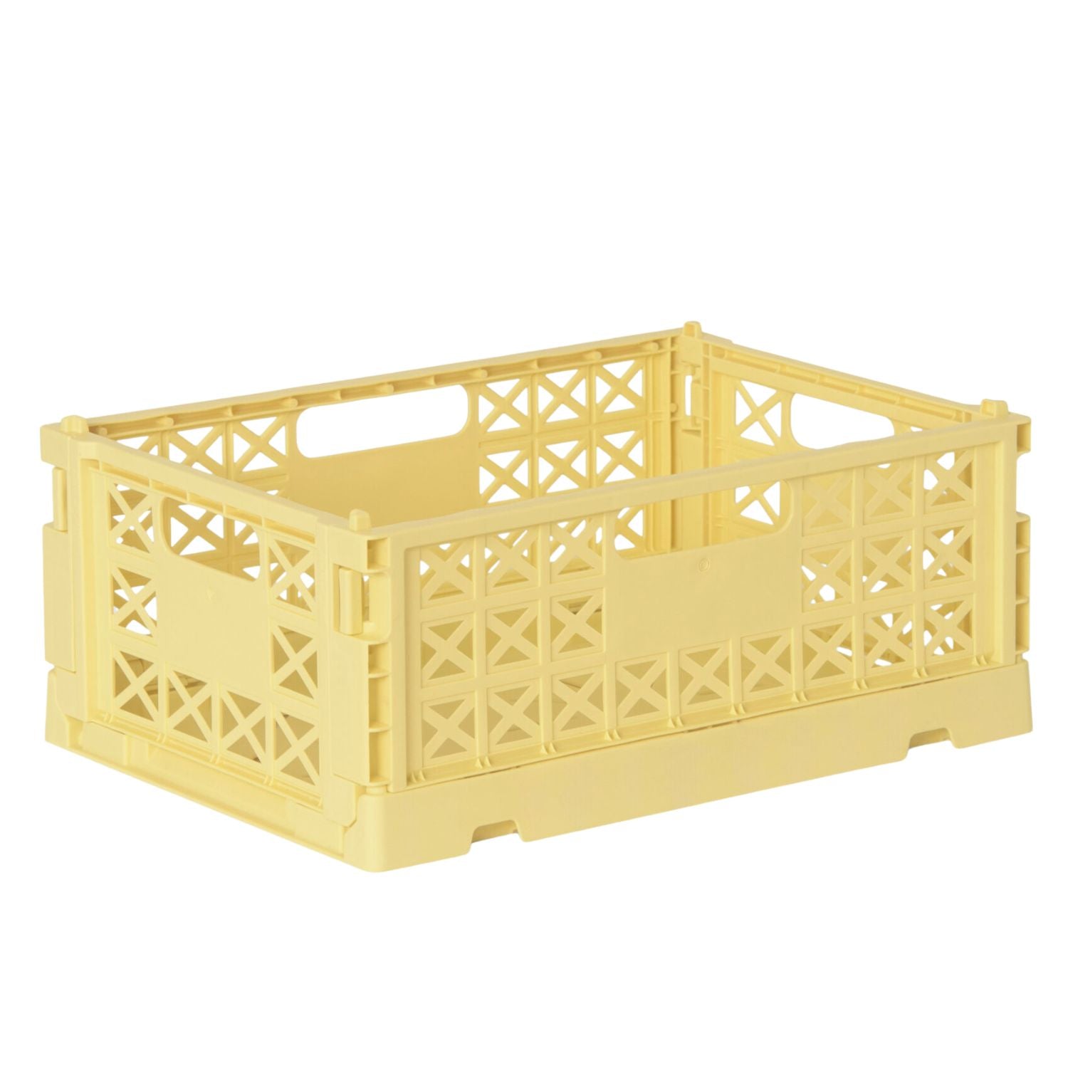Klappbox Superior Midi | Lemon Nemesia