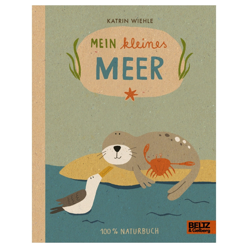 Kinderbuch | Mein kleines Meer