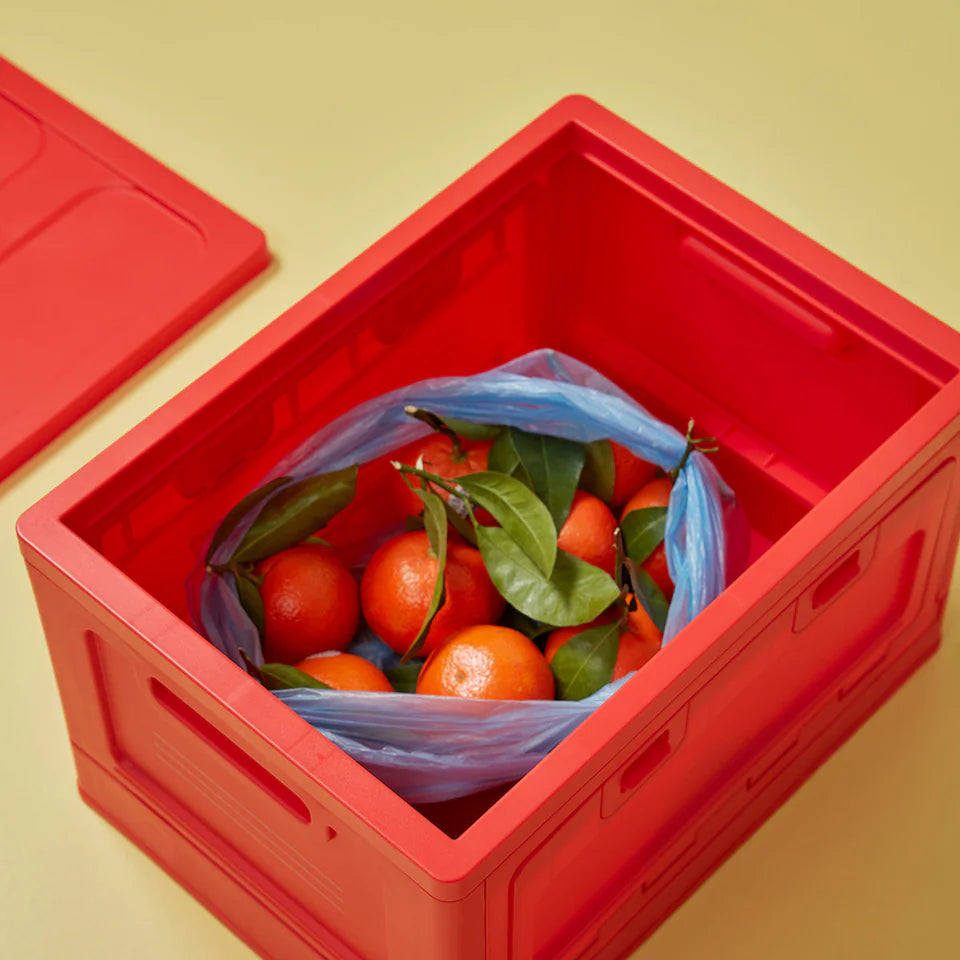 Box Groß | Red