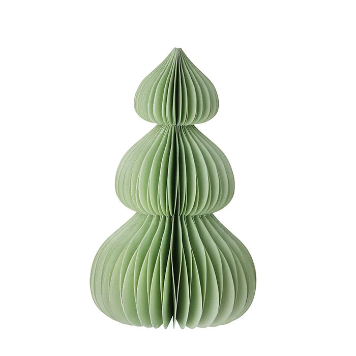 Wabentanne Moonpine | Ming 20 cm