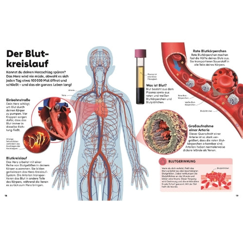 Kinderbuch memo Wissen | Der Körper