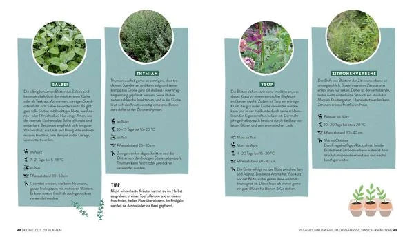 Buch | Keine Zeit zu gärtnern – Easy Ernteglück mit wenig Aufwand