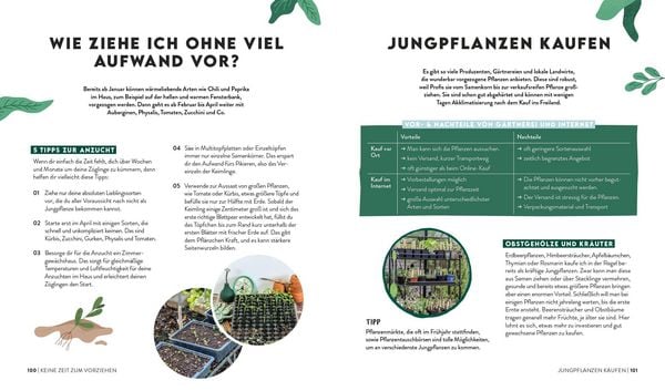 Buch | Keine Zeit zu gärtnern – Easy Ernteglück mit wenig Aufwand