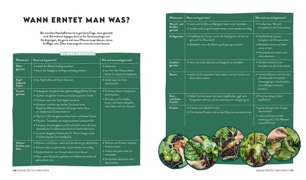 Buch | Keine Zeit zu gärtnern – Easy Ernteglück mit wenig Aufwand