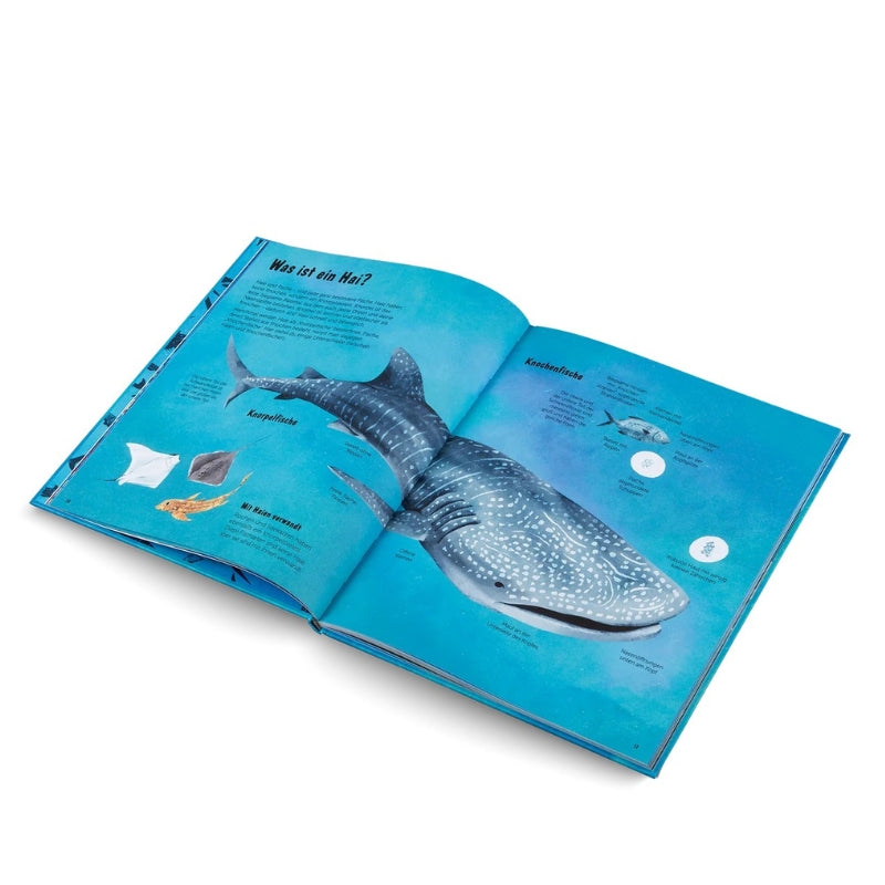 Kinderbuch | Die Welt der Haie