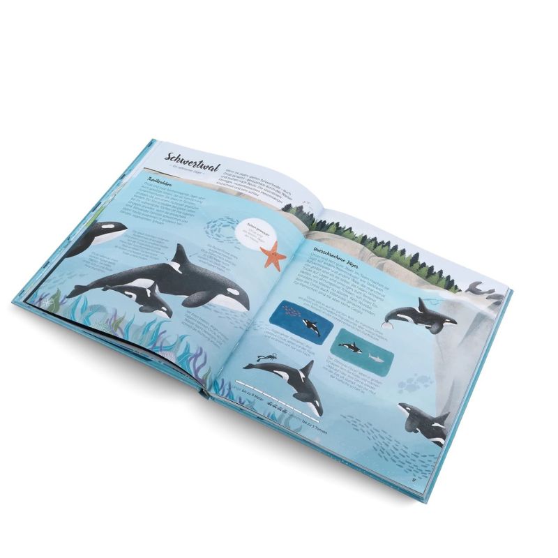 Kinderbuch | Die Welt Wale