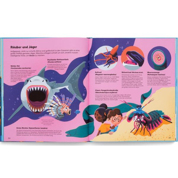 Kinderbuch | Entdecke die Ozeane