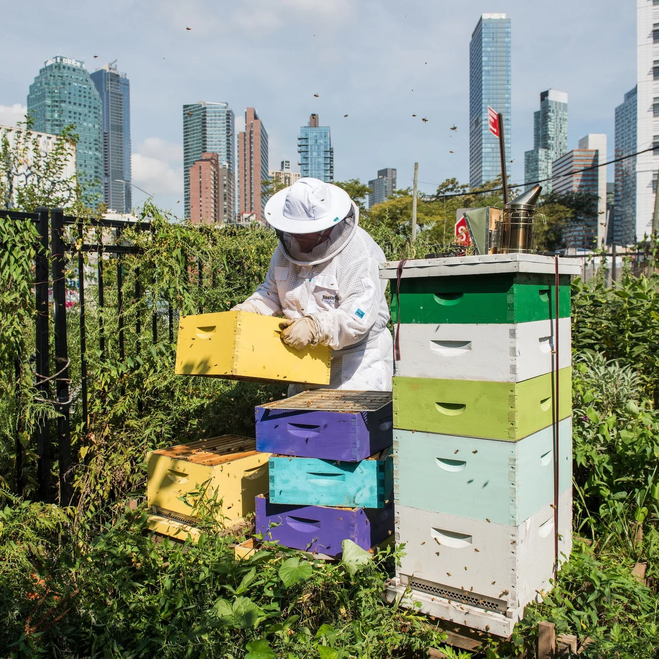 Buch | Stadt Gärten