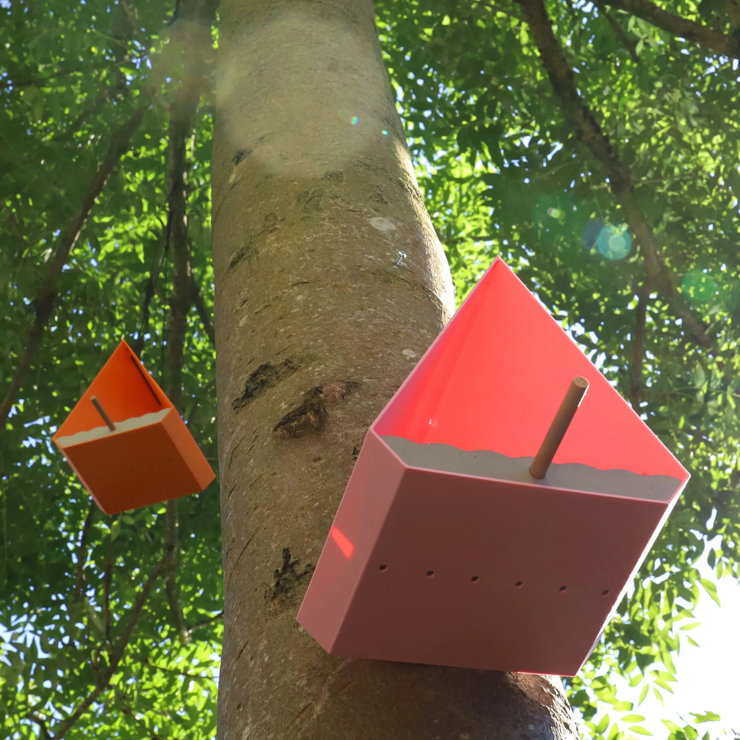 Vogelhaus Noa "L" | Rosa