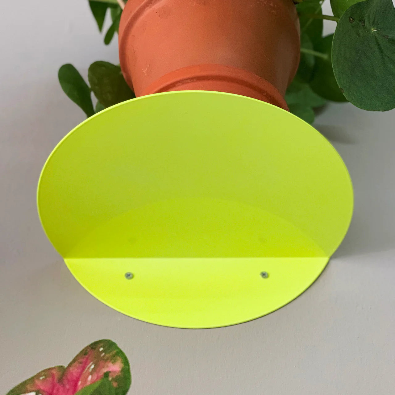 Kolor Wandregal Dot in Neon Gelb bei Frau Rabe im Concept Store Die Halle
