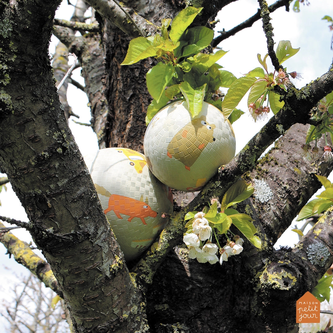Großer Spielplatzball | Abenteuer
