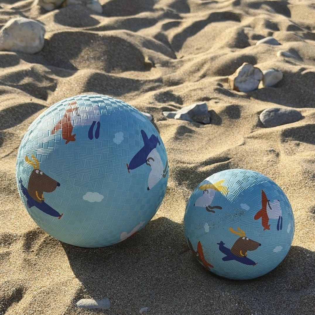 Kleiner Spielplatzball | Hunde