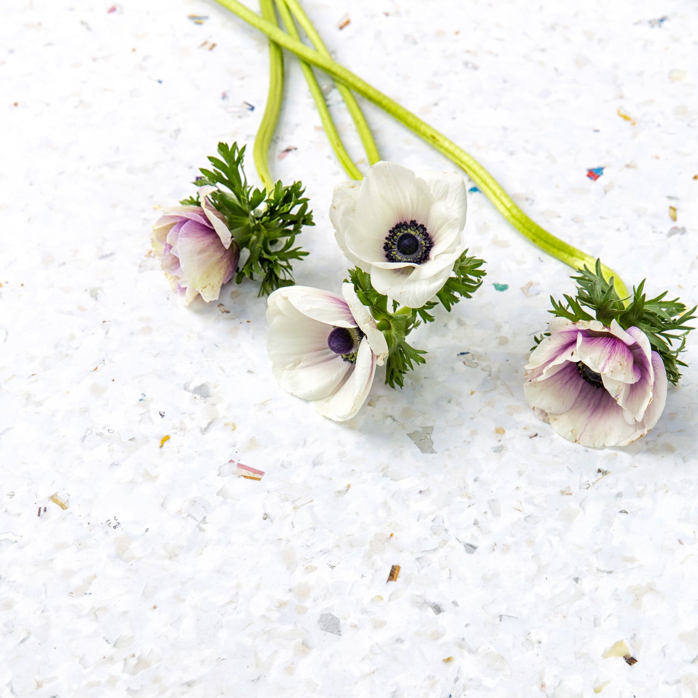 Schreibtisch New Modern | Eucalyptus Grey