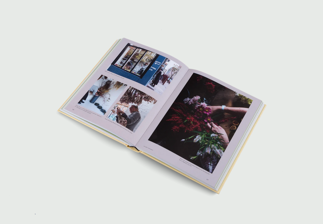 Buch | Stadt Gärten