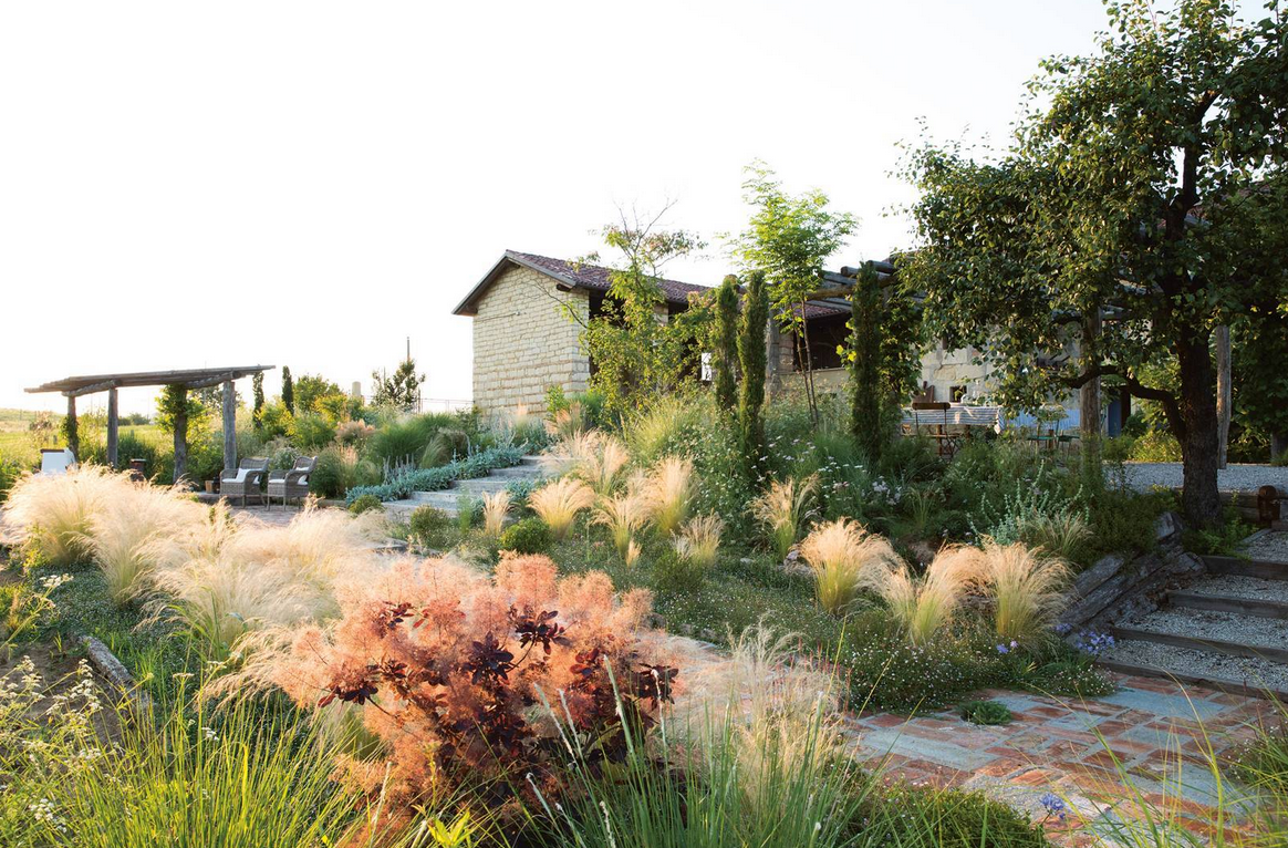 Buch | Der Garten Eden
