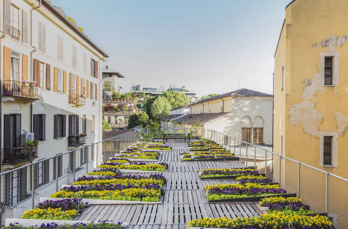 Buch | Der Garten Eden