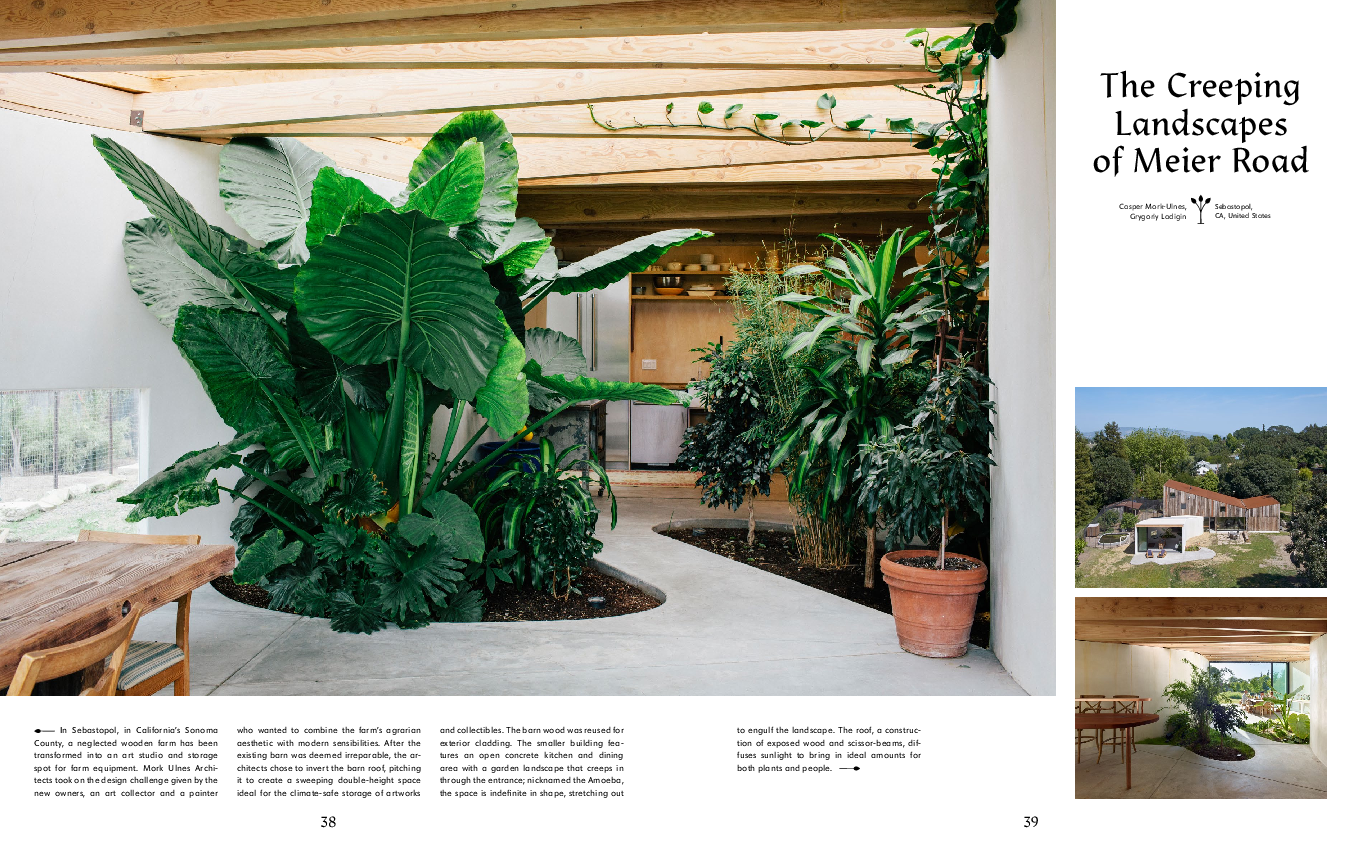 Buch Interior | Evergreen