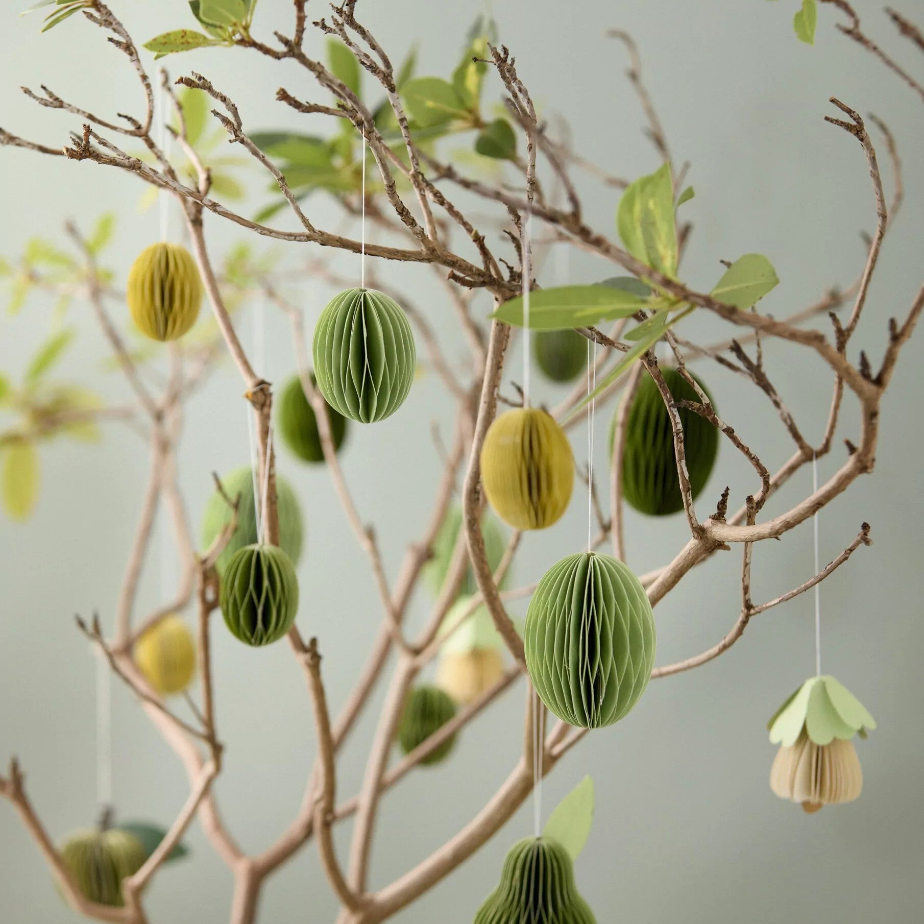 Hej Spring Collection bei Frau Rabe Concept Store