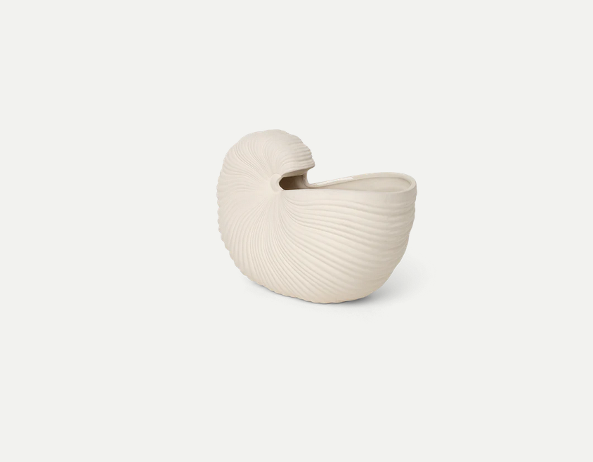 Vase Shell Pot