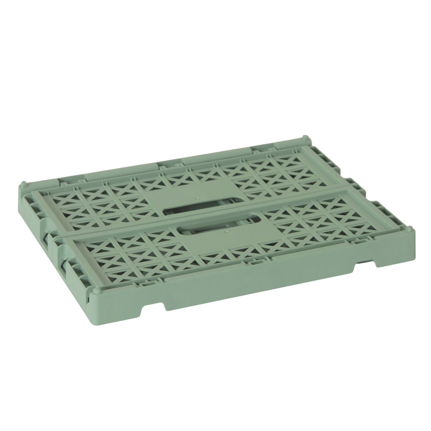 Klappbox Superior Midi | Almond Green