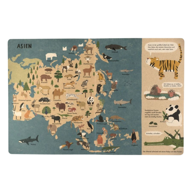 Wimmelbuch | Mein großer Tieratlas
