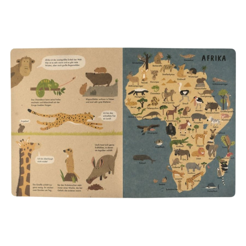 Wimmelbuch | Mein großer Tieratlas