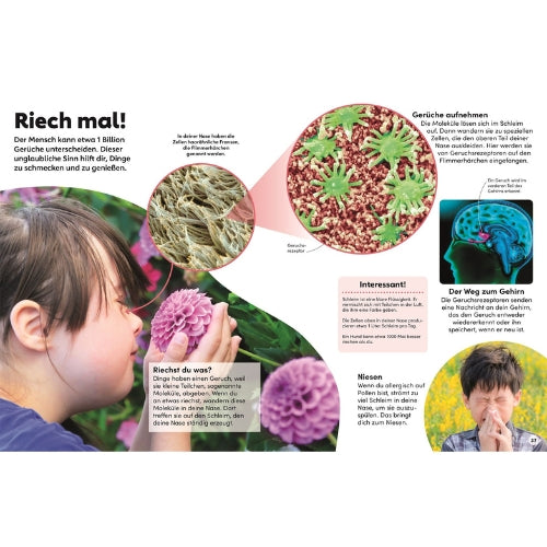 Kinderbuch memo Wissen | Der Körper