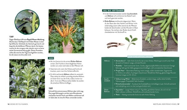 Buch | Keine Zeit zu gärtnern – Easy Ernteglück mit wenig Aufwand