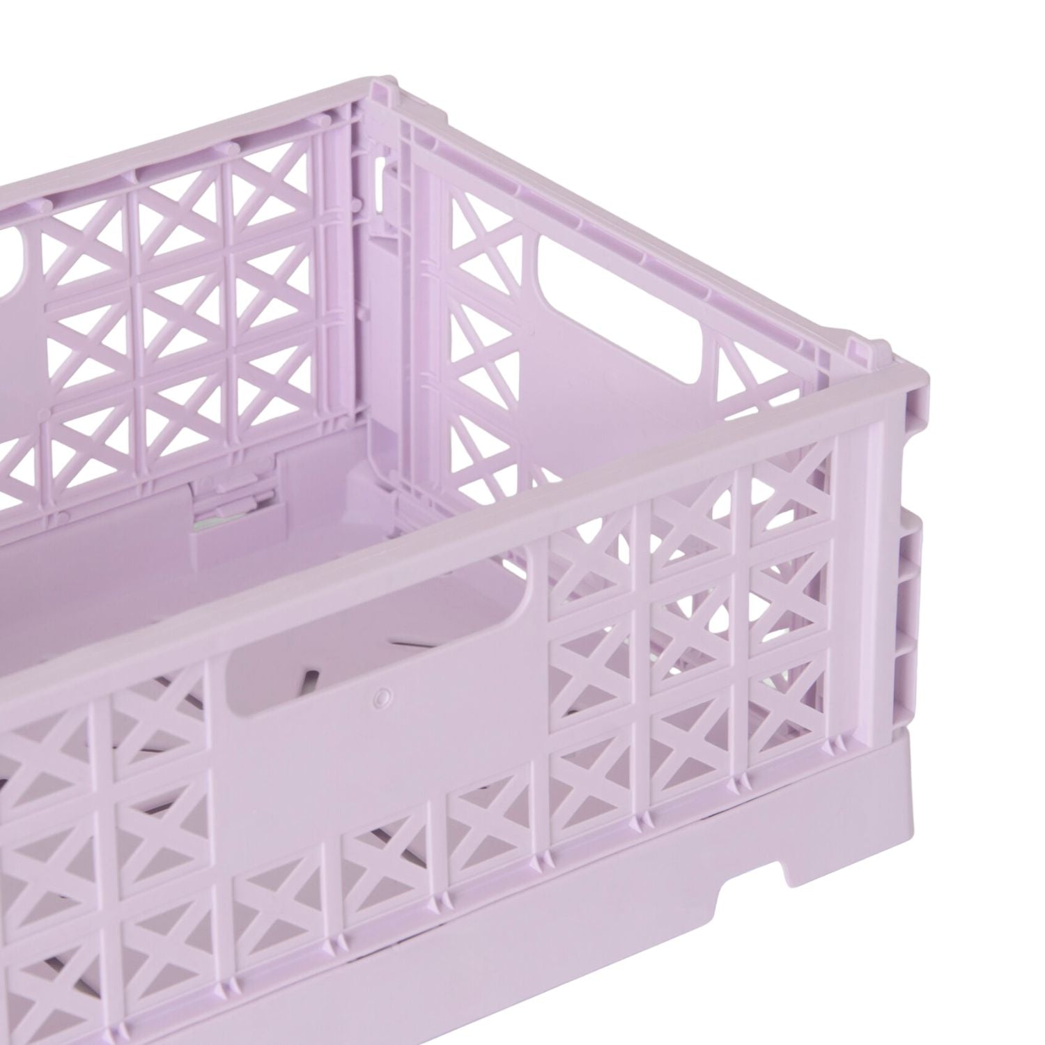 Klappbox Superior Midi | Orchid
