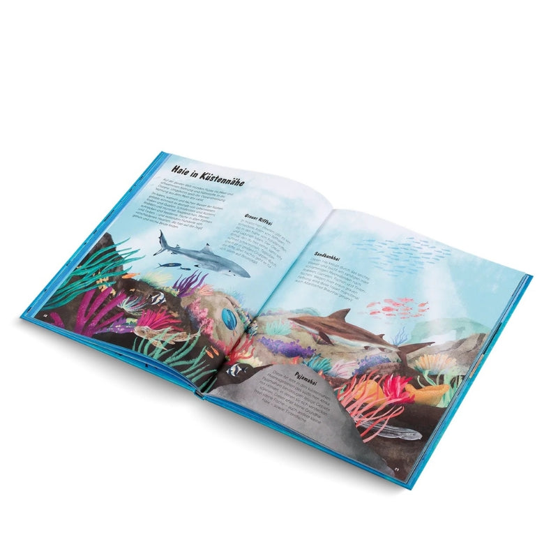 Kinderbuch | Die Welt der Haie