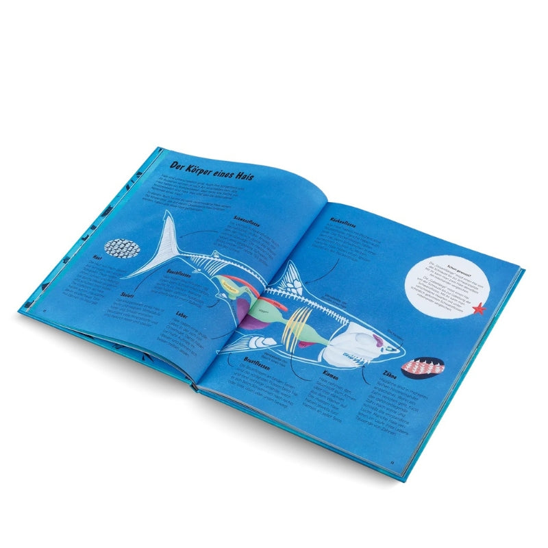 Kinderbuch | Die Welt der Haie