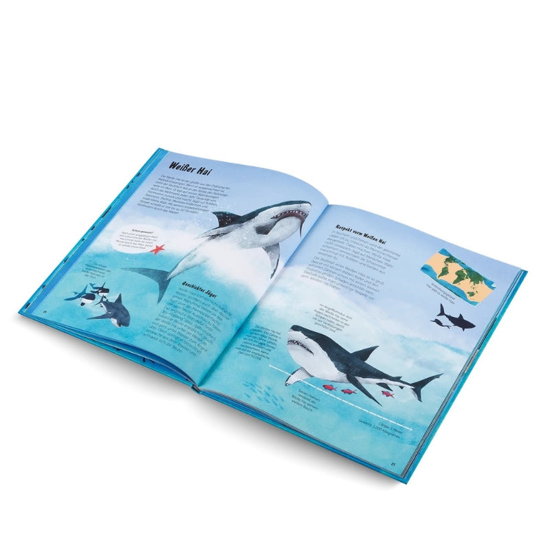 Kinderbuch | Die Welt der Haie