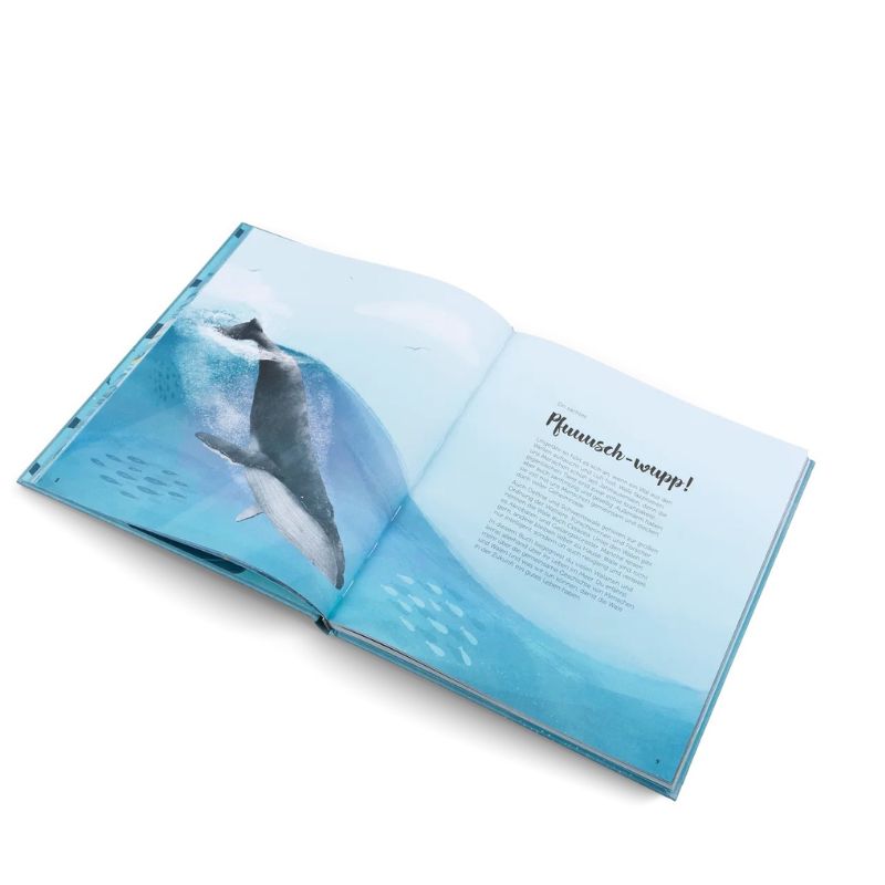 Kinderbuch | Die Welt Wale
