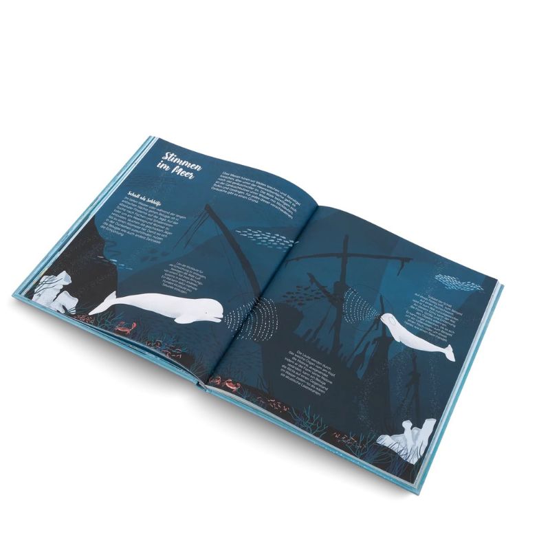Kinderbuch | Die Welt Wale