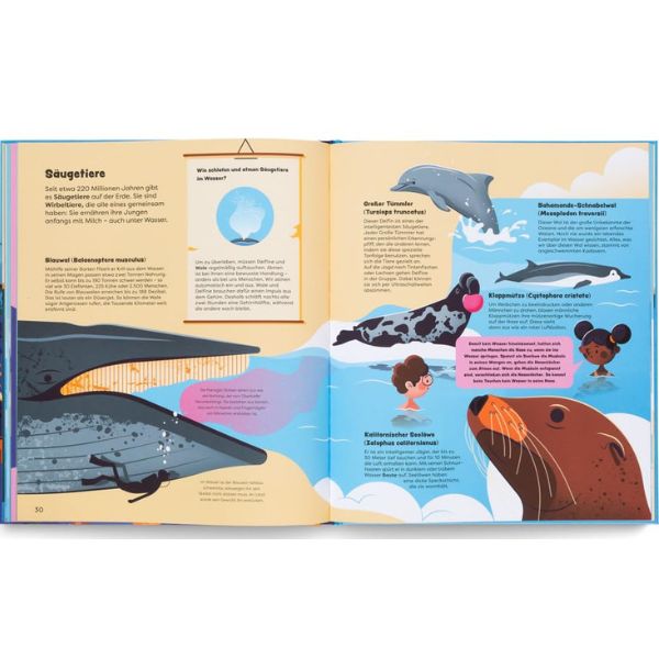 Kinderbuch | Entdecke die Ozeane