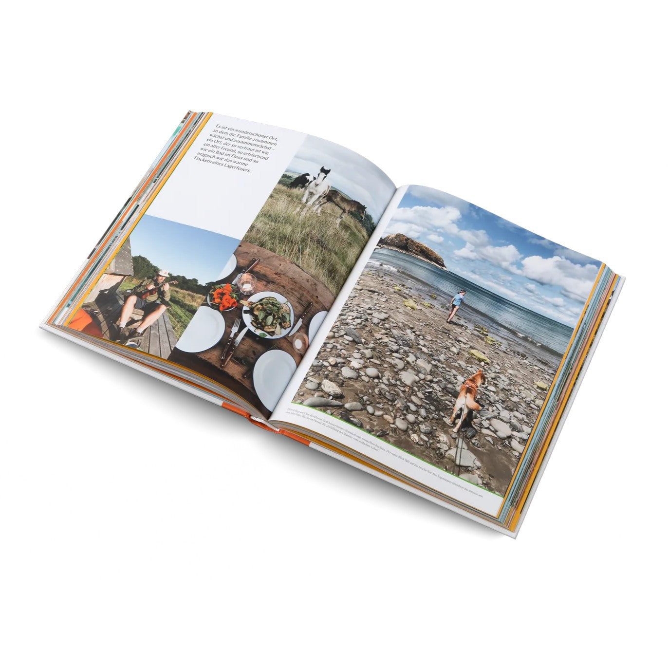 Buch | Familienabenteuer