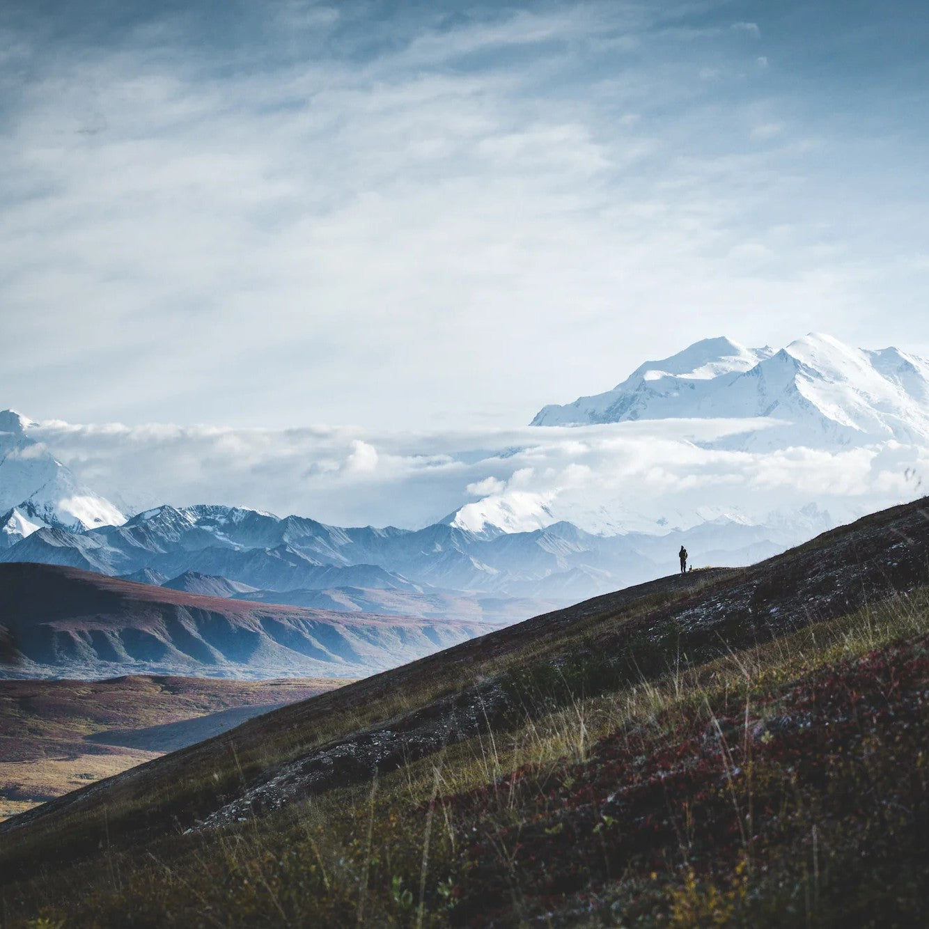 Buch | Wanderlust USA